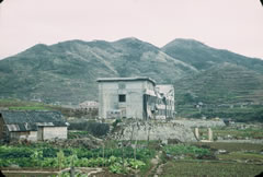 野菜畑が美しい1946年の浦上一帯。