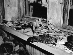 焼け焦げた顕微鏡