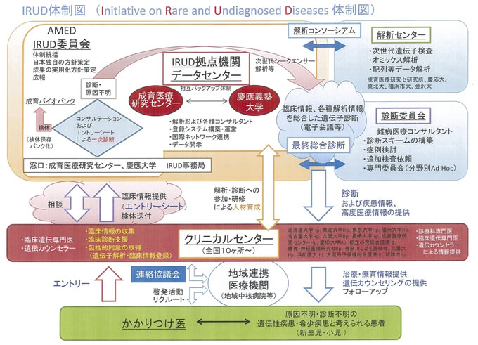 IRUD体制図