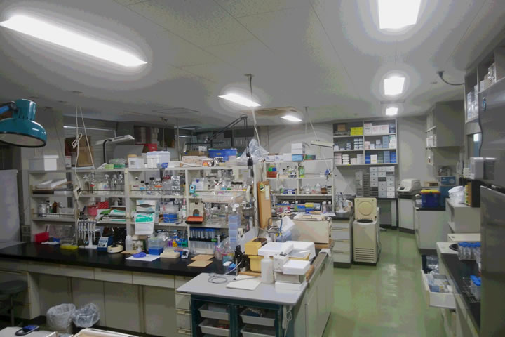生化学実験室