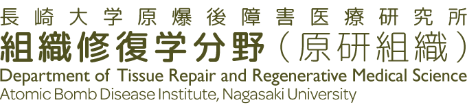 長崎大学原爆後障害医療研究所 組織修復学分野（原研組織）