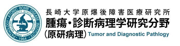 長崎大学原爆後障害医療研究所腫瘍・診断病理学研究分野（原研病理）