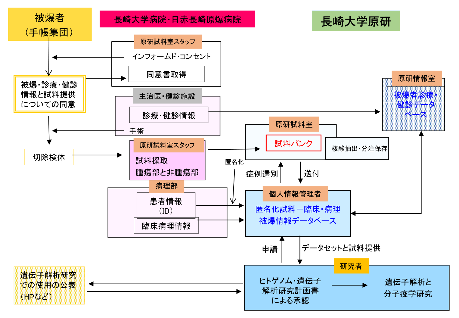 長崎被爆者腫瘍組織バンクと分子疫学研究（図１）
