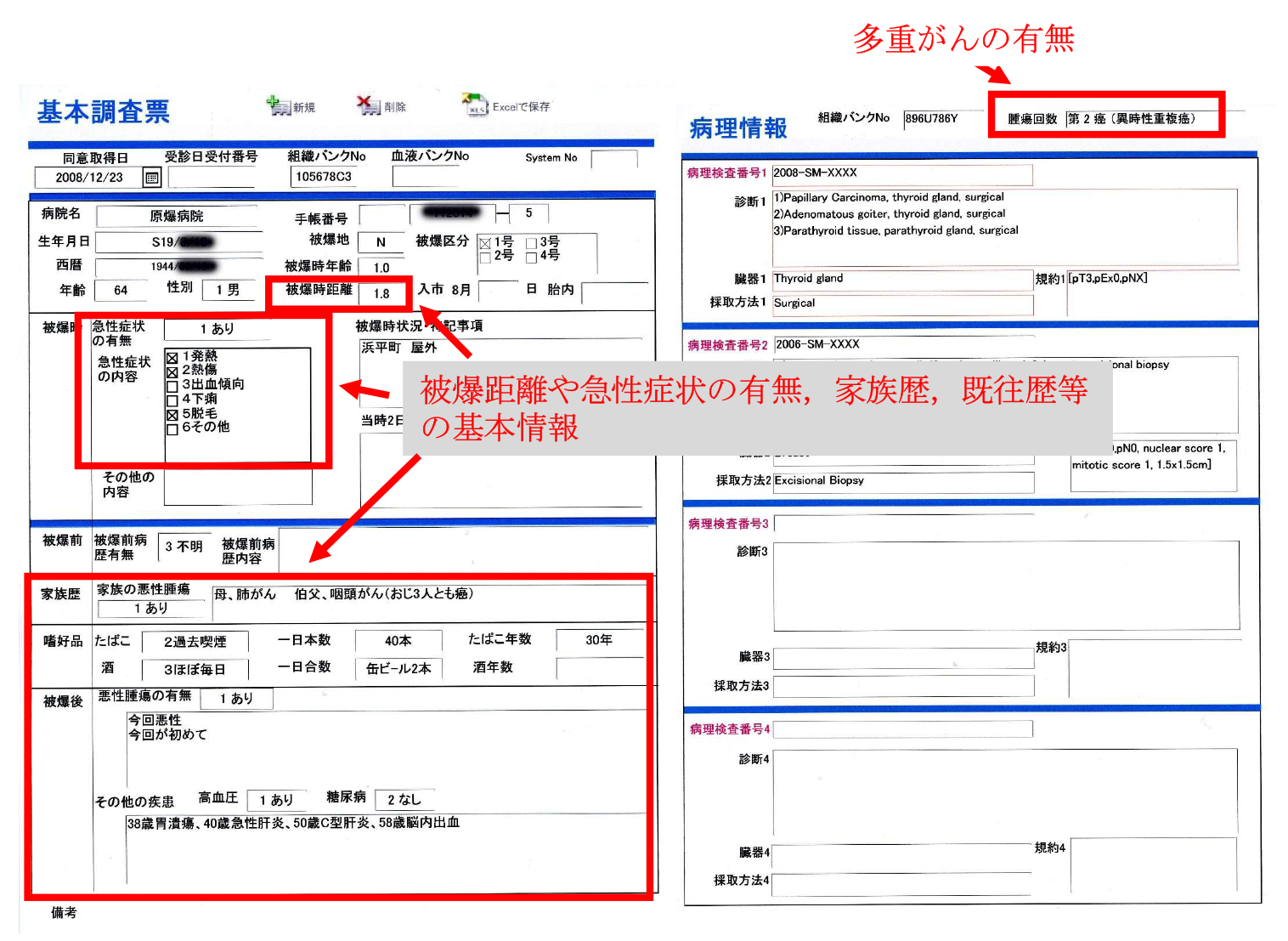 被爆者腫瘍組織データベース（図２）